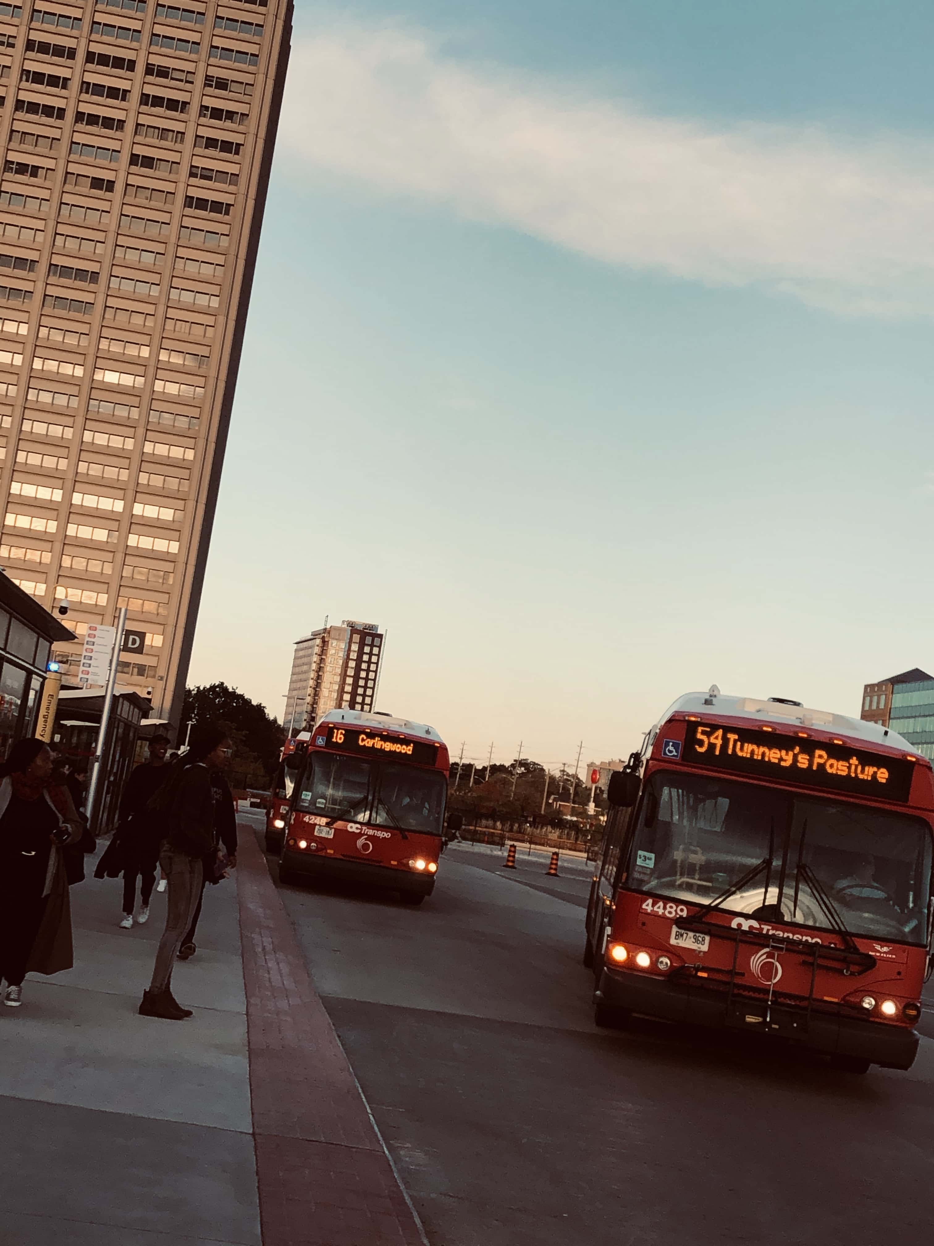 buses at tunney's